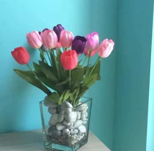 Apartamento Baia Di Imminens Mari *